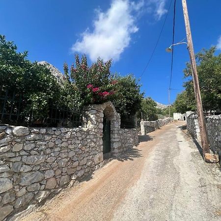 KoítaΛαγκάδι Μάνης公寓 外观 照片