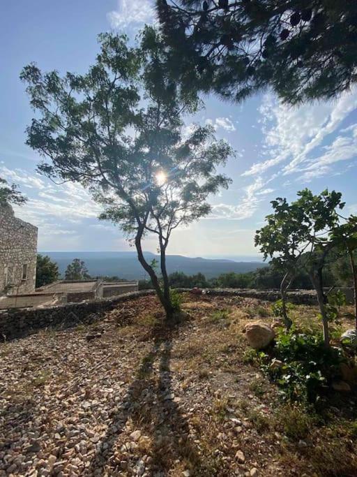 KoítaΛαγκάδι Μάνης公寓 外观 照片